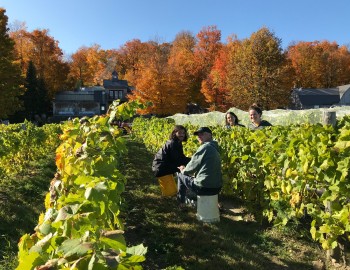 Quoi Faire A Lac Brome Tourisme Cantons De L Est Estrie